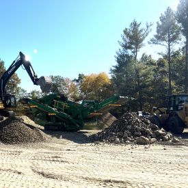 IMG_9354 Cropped.JPG